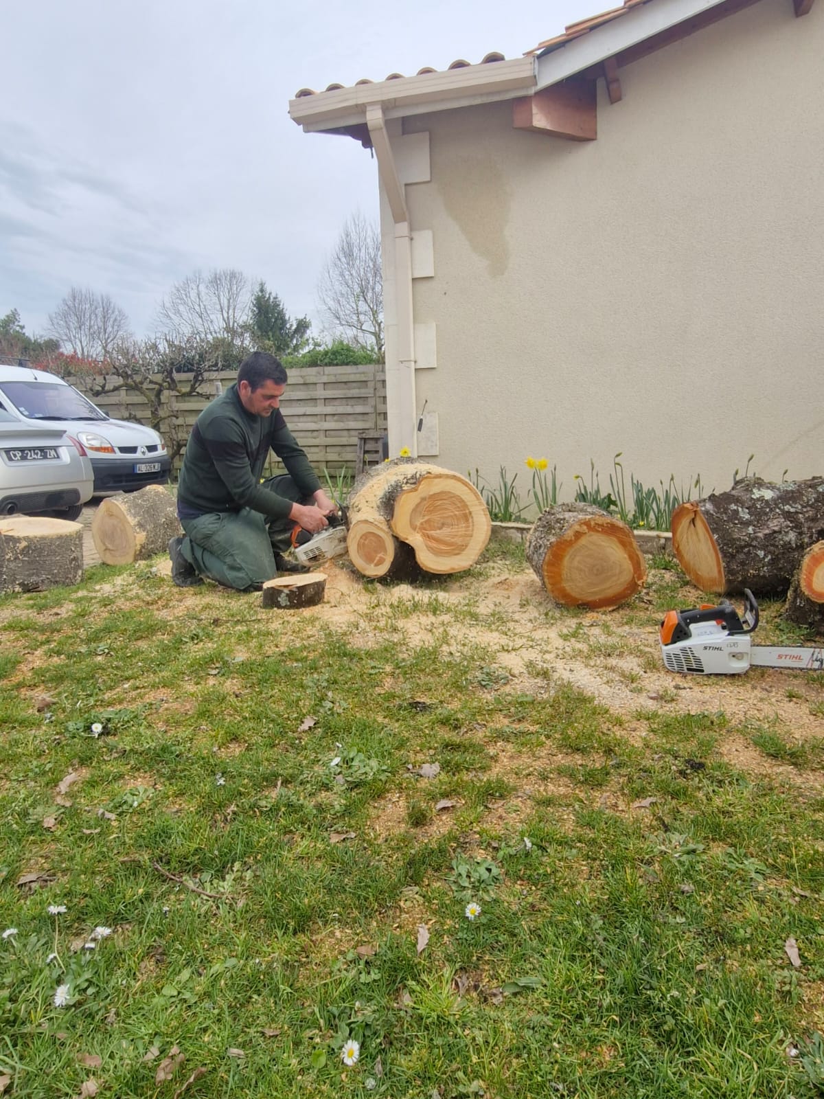 Abattage et débit de bois