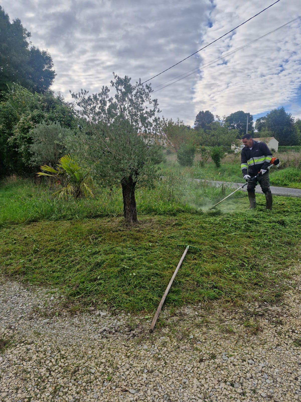 Débroussaillage